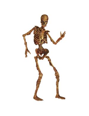 Bewegliches Skelett Halloween-Pappaufsteller beige-braun 180cm