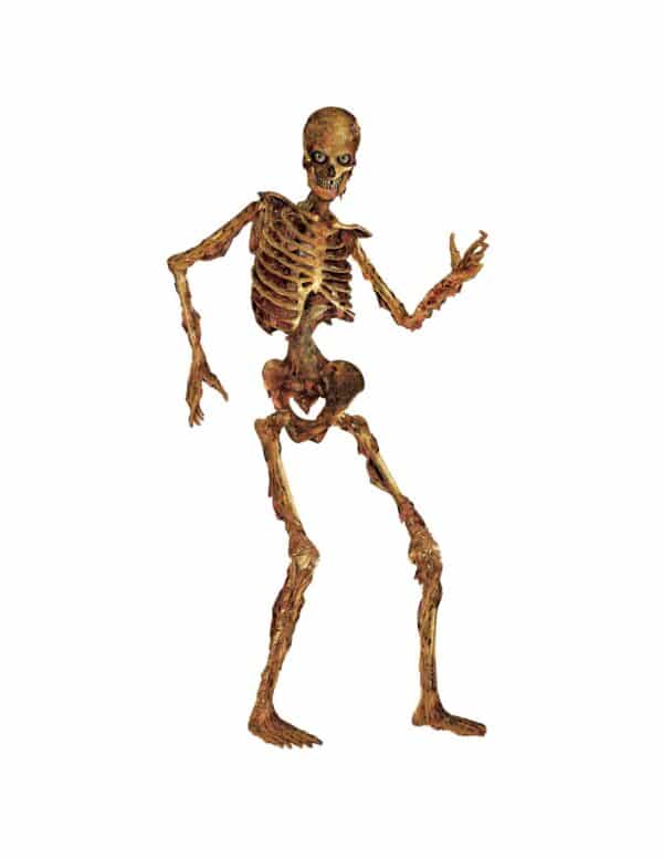 Bewegliches Skelett Halloween-Pappaufsteller beige-braun 180cm