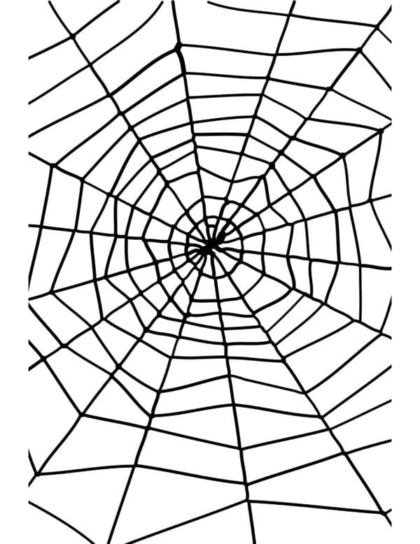 Halloween Partydeko Spinnennetz schwarz 1