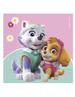 Paw Patrol-Servietten Skye und Everest Tischdeko 20 Stück bunt 33x33cm