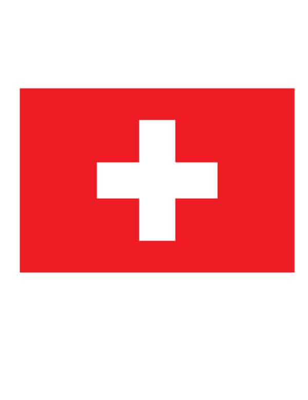 Schweizer Nationalflagge Fan-Flagge rot-weiss 150 x 90 cm