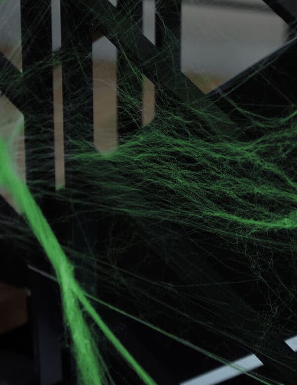 Spinnennetz mit Spinnen Spinnenweben nachtleuchtend grün 16qm 60g